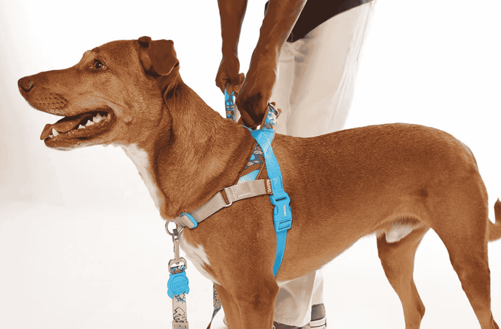 <b>Suavidad y control sin esfuerzo</b>