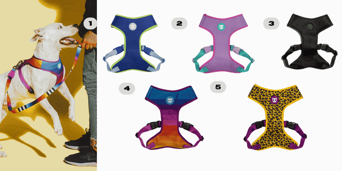 <h3 style="font-size: 24px; font-weight: bold; font-family: 'Poppins', sans-serif;">   Pecheras para perros colección Clásicos </h3>