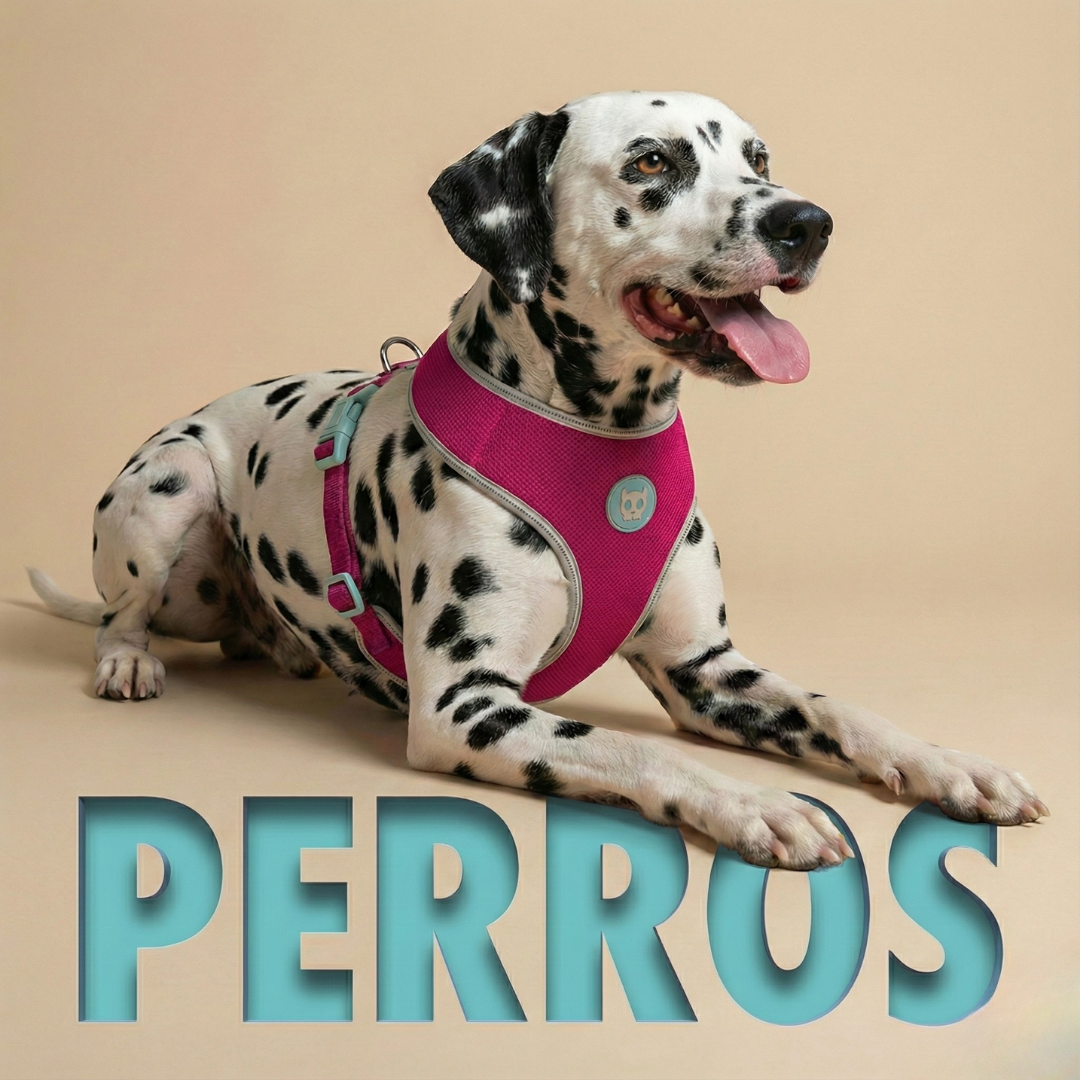 PRODUCTOS PARA PERROS