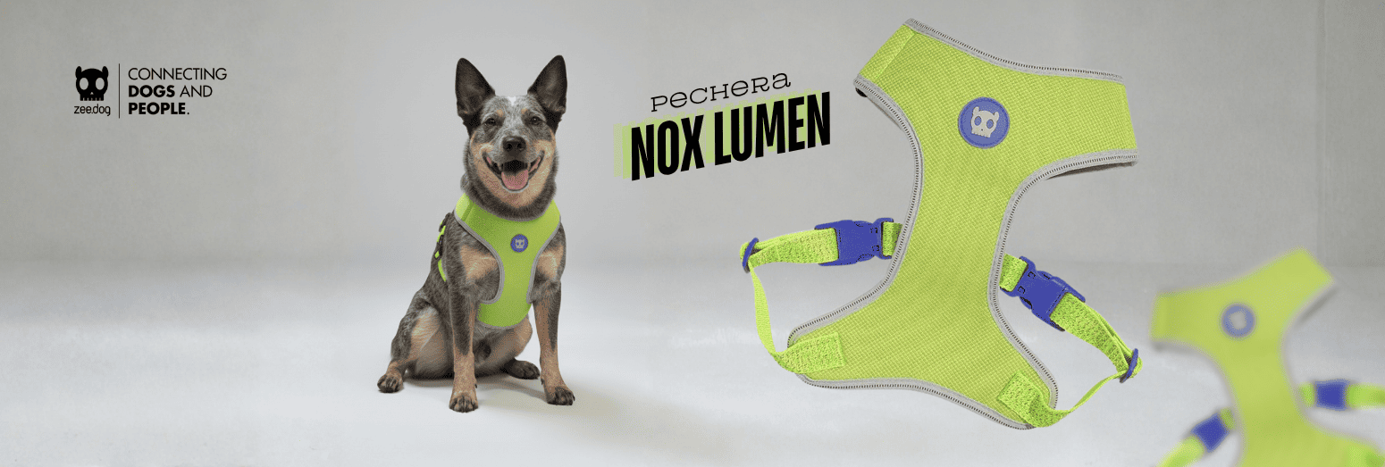 Tienda de Mascotas RazasLovers