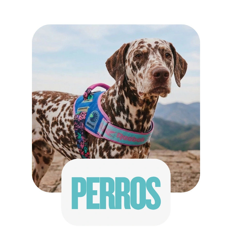 Tienda de Mascotas RazasLovers