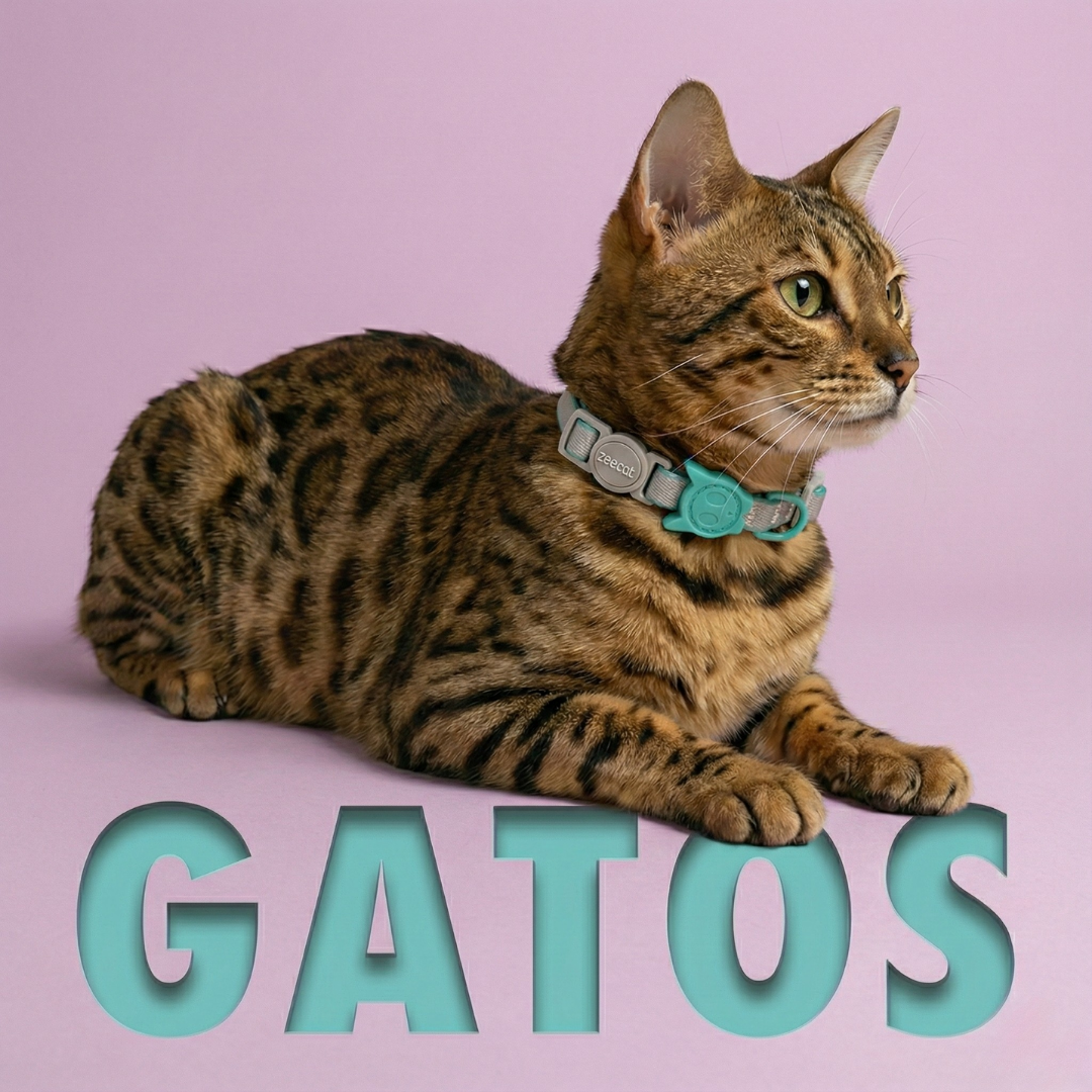 productos para gatos