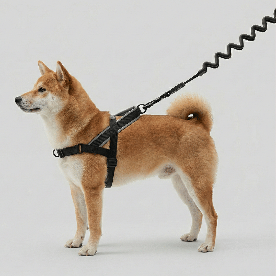 <div style="margin:4px 0 4px 0;">    <div style="color:#5fbec4; font-weight:700; font-size:20px; letter-spacing:1px; margin:0 0 4px 0;"> Anilla D-Ring trasera estándar – Arnés Antitirones</div>