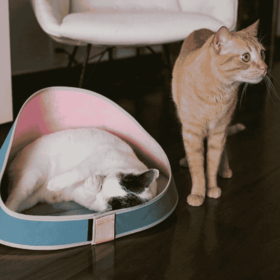 Camas-gato-zeedog-zeecat