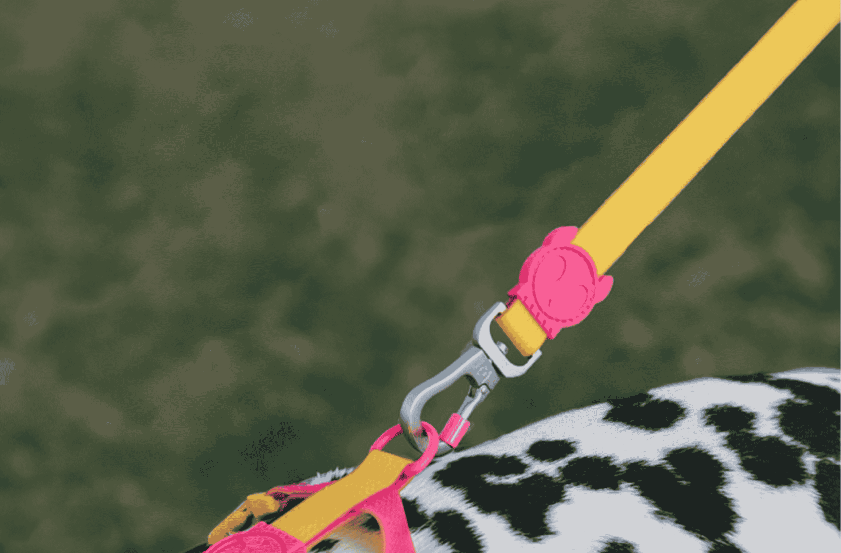 <b>Todo terreno, ¡a prueba de todo!</b>