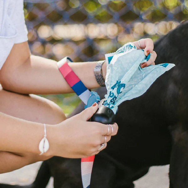Dispensadores bolsas