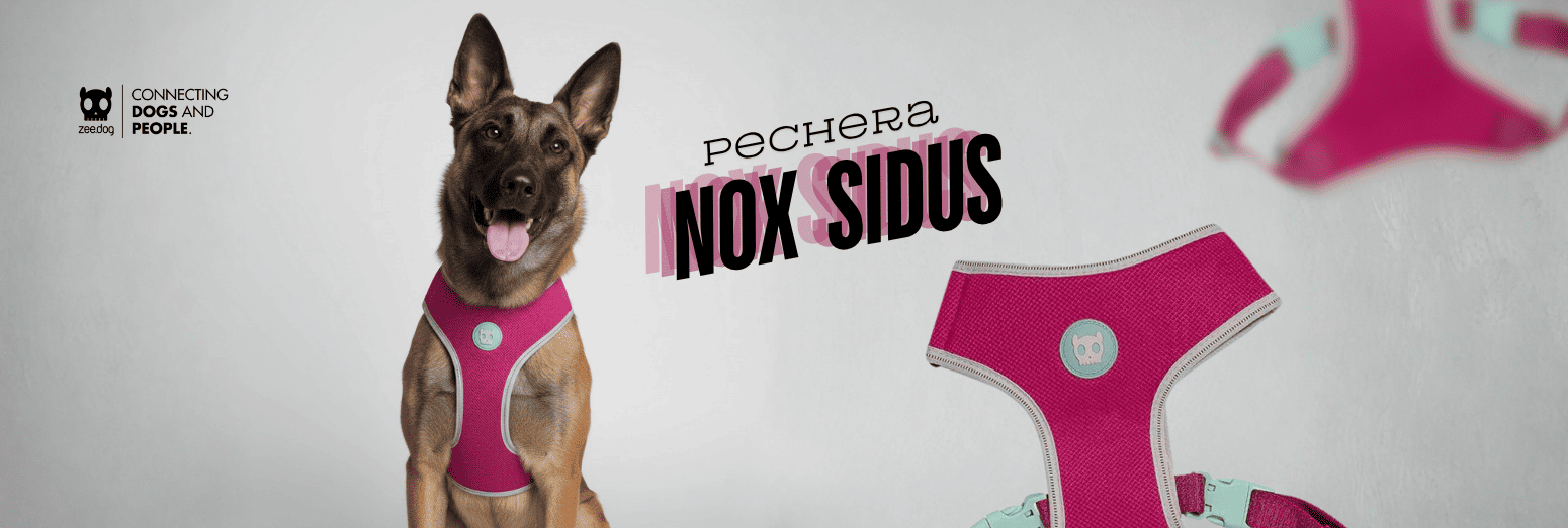 Tienda de Mascotas RazasLovers