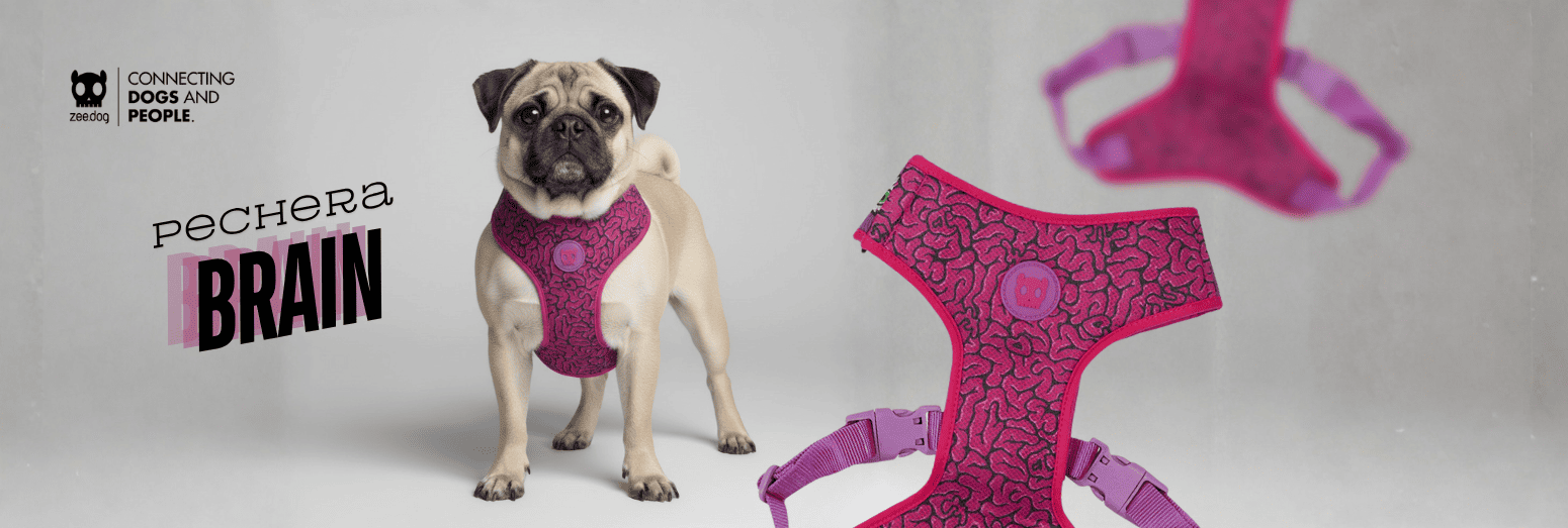 Tienda de Mascotas RazasLovers