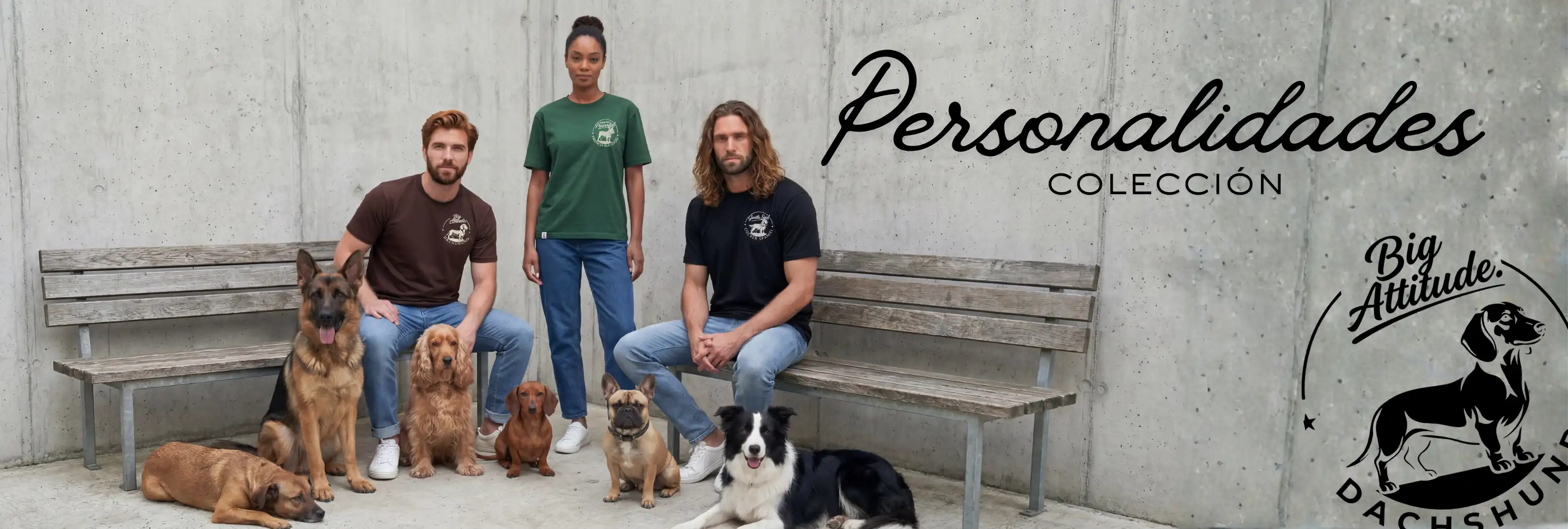 Título de la Sección