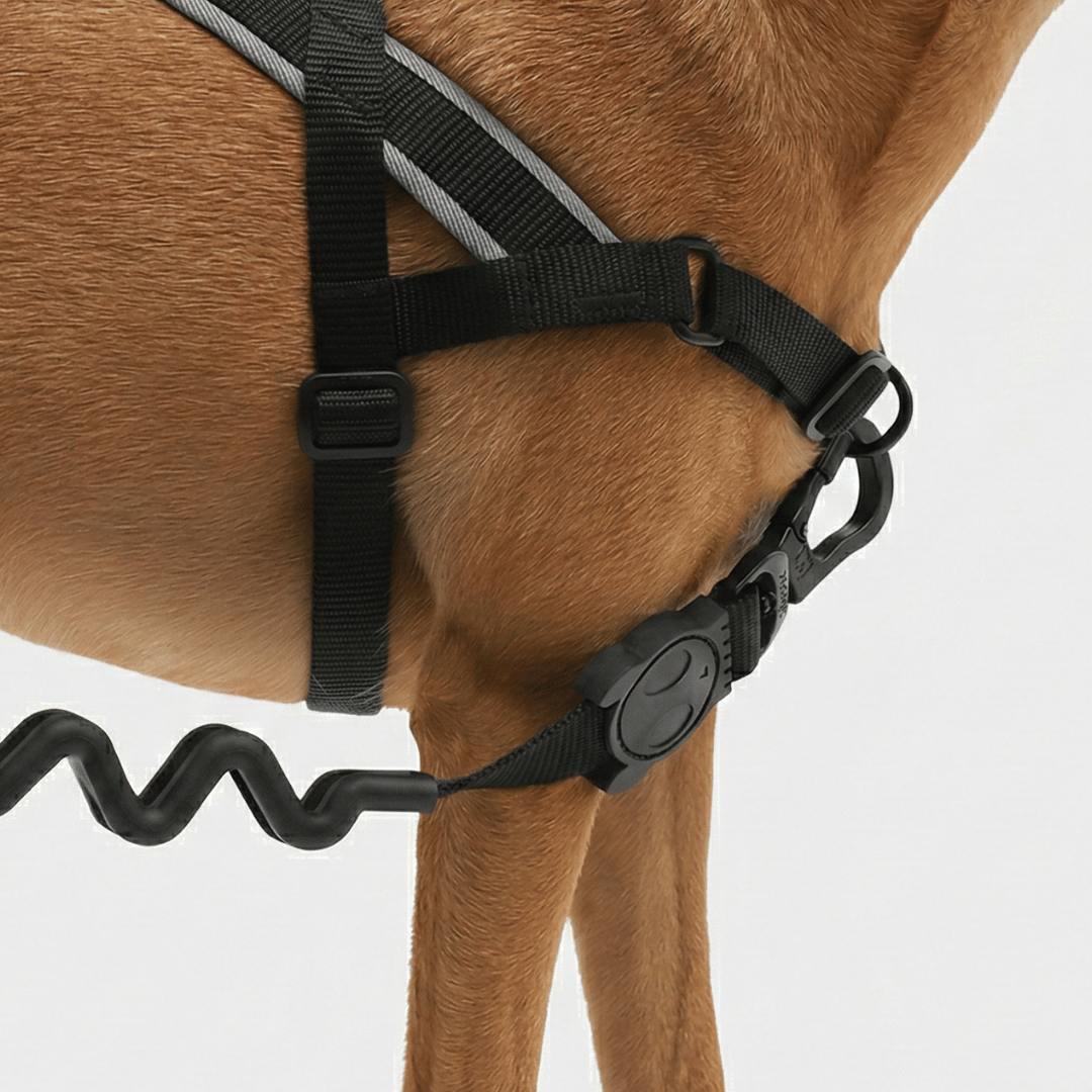 <div style="margin:4px 0 4px 0;">    <div style="color:#5fbec4; font-weight:700; font-size:20px; letter-spacing:1px; margin:0 0 4px 0;"> Anilla frontal D-Ring antitirones – Arnés Antitirones</div>