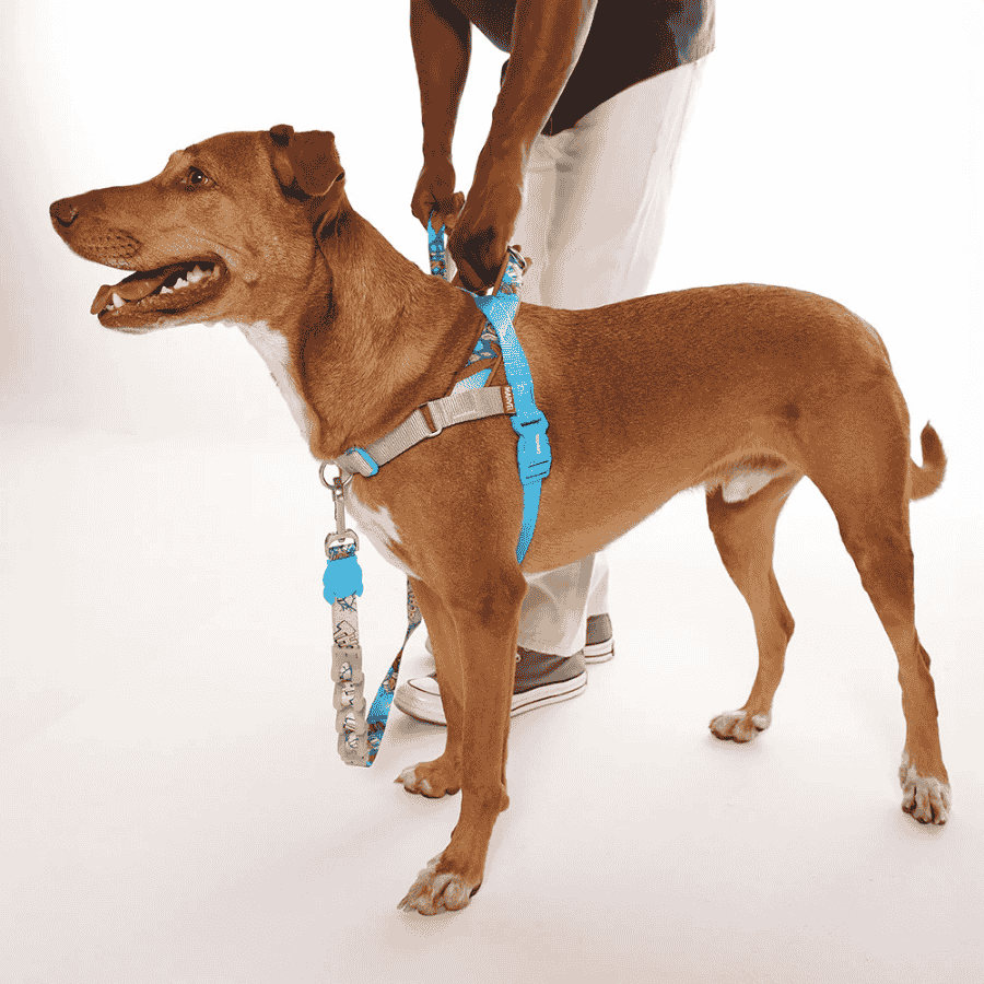 Arnés-antitirones-softerwalk-perro-zeedog