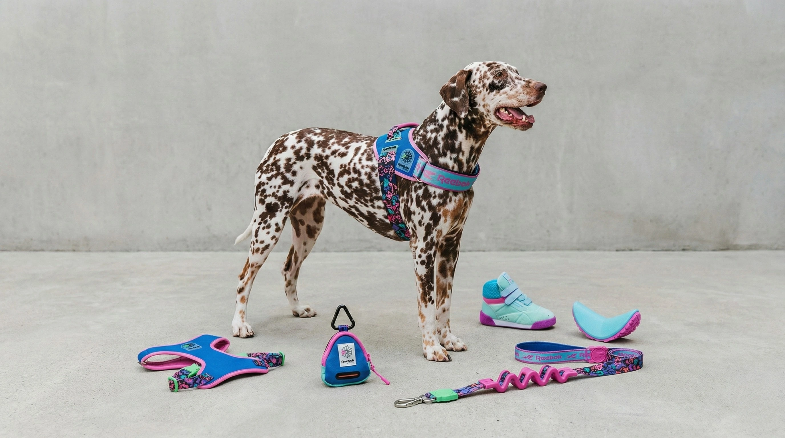 Tienda de Mascotas RazasLovers