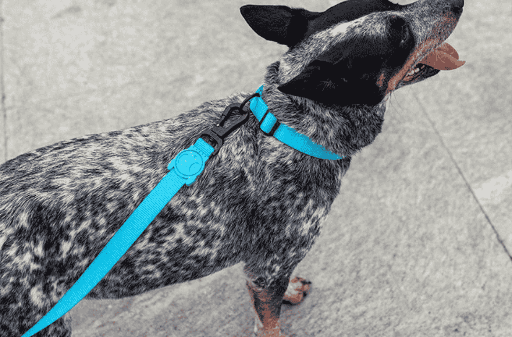 <b>La clásica que nunca falla</b>