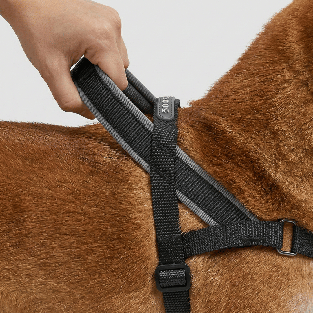 <div style="margin:4px 0 4px 0;">    <div style="color:#5fbec4; font-weight:700; font-size:20px; letter-spacing:1px; margin:0 0 4px 0;"> Asa de control acolchada integrada al arnés antitirones</div>