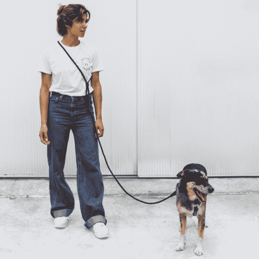 Correa-perro-Handsfree-zeedog