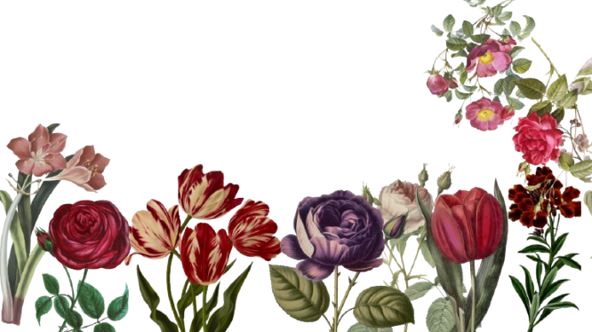 Donde lo efímero encuentra <br>
una forma de permanecer<br>
<br>