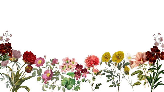 Admiramos las expresiones <div>de la naturaleza</div>