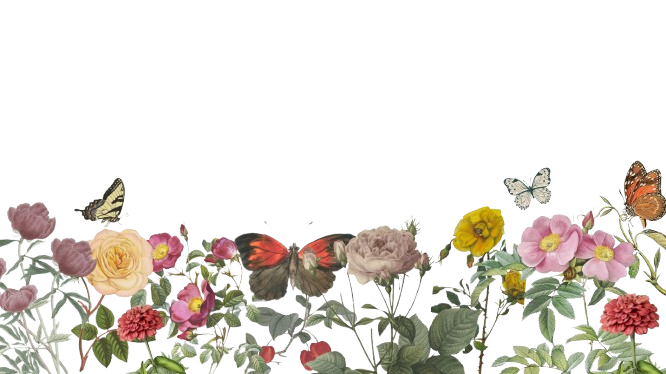 Celebremos la naturaleza, <br>                                                                                                                                                        el arte y el tiempo lento<br>