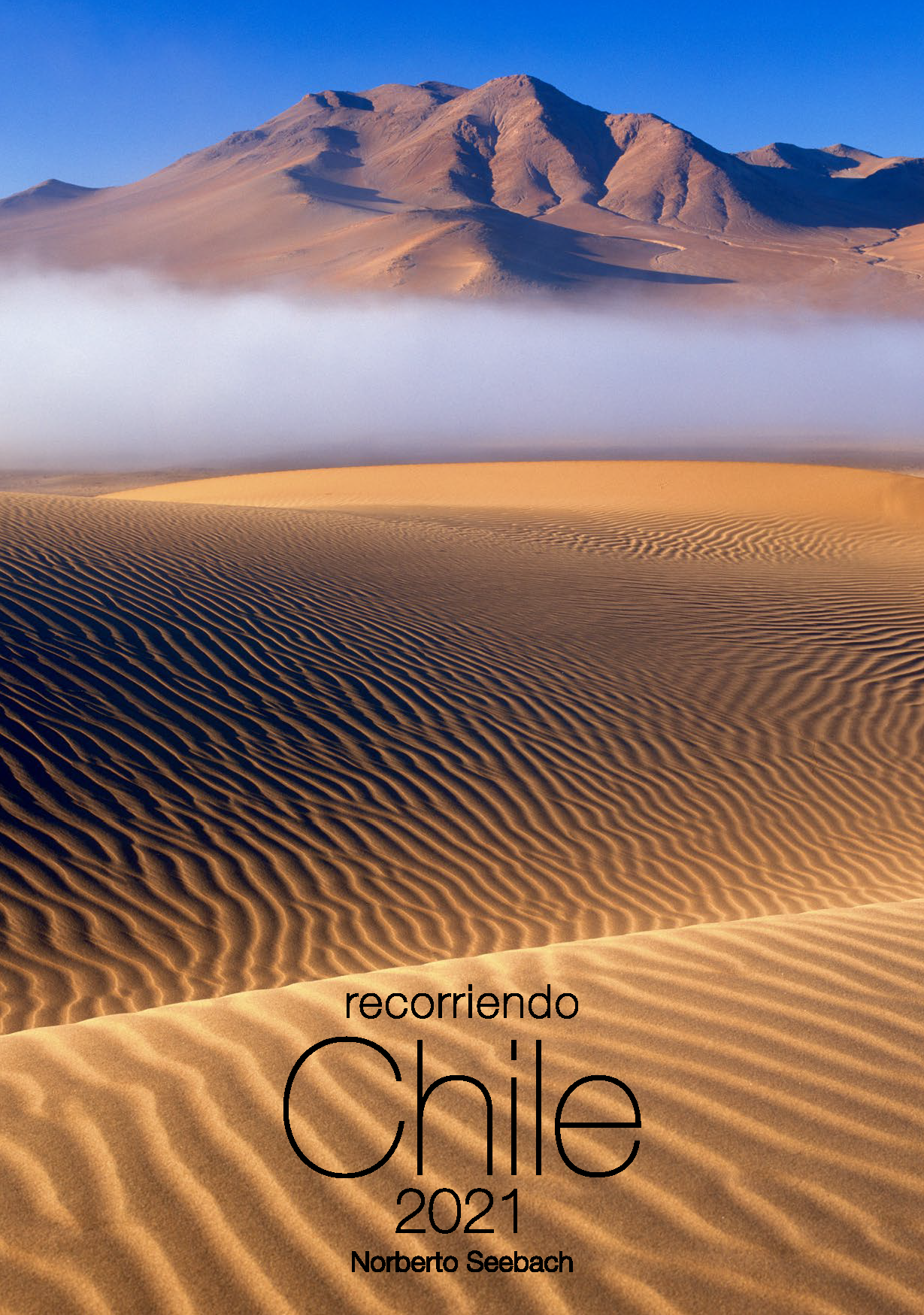 Dunas Atacama