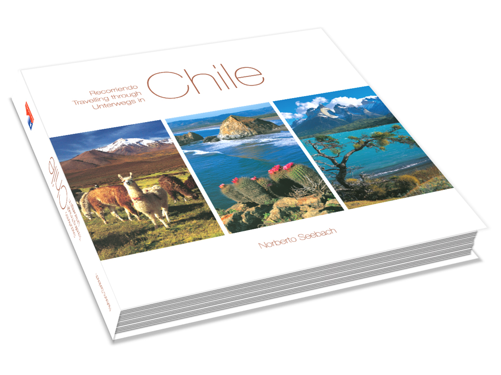 RECORRIENDO CHILE