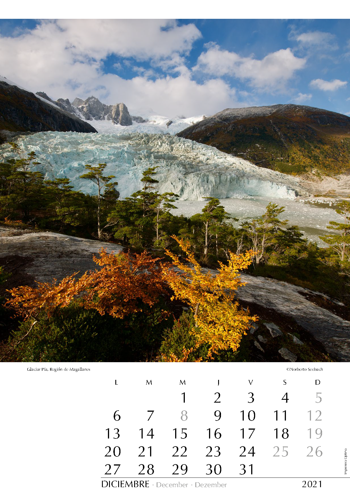 Glaciar Pía