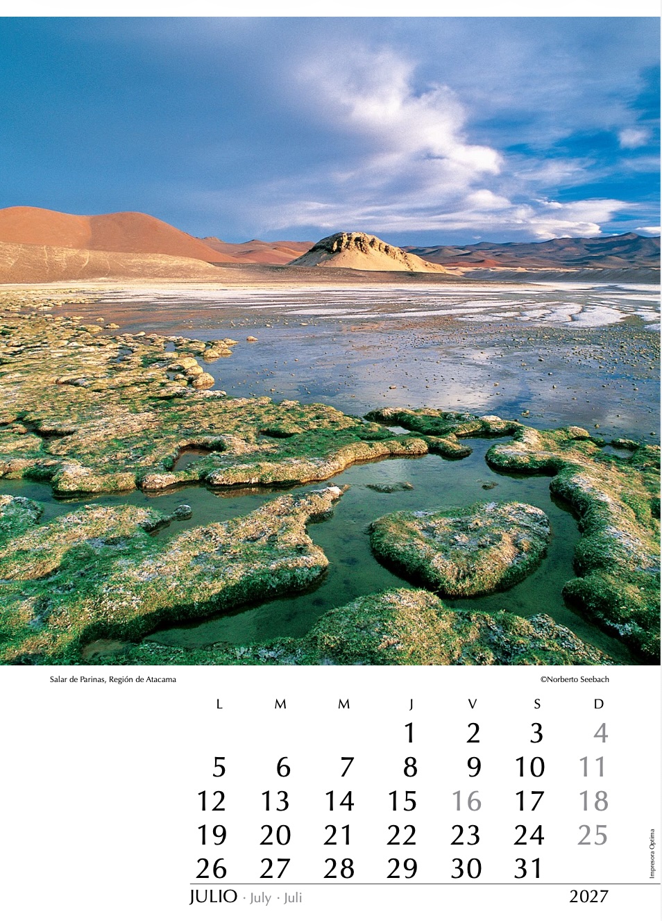 Salar de Parinas