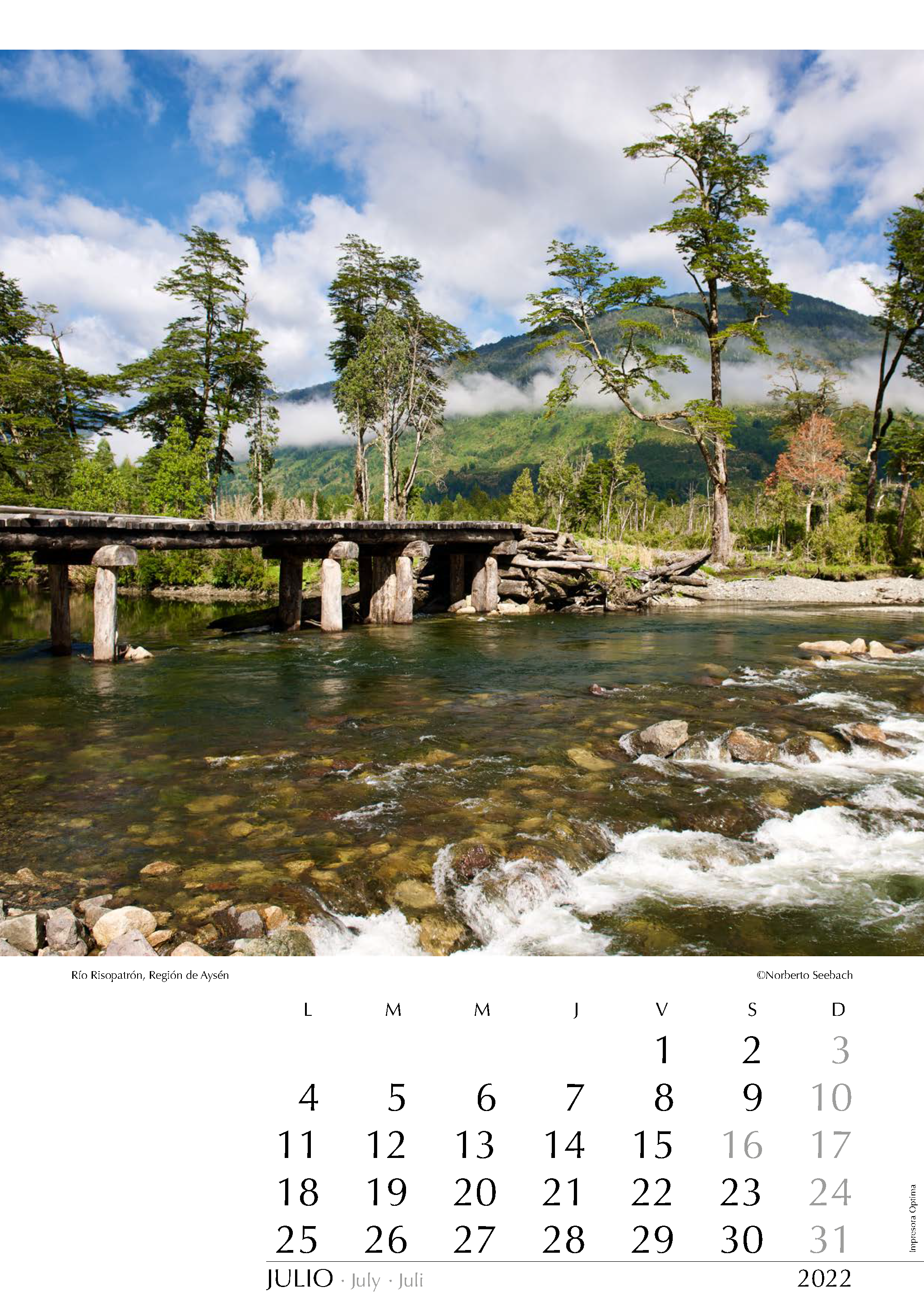 Río Risopatrón