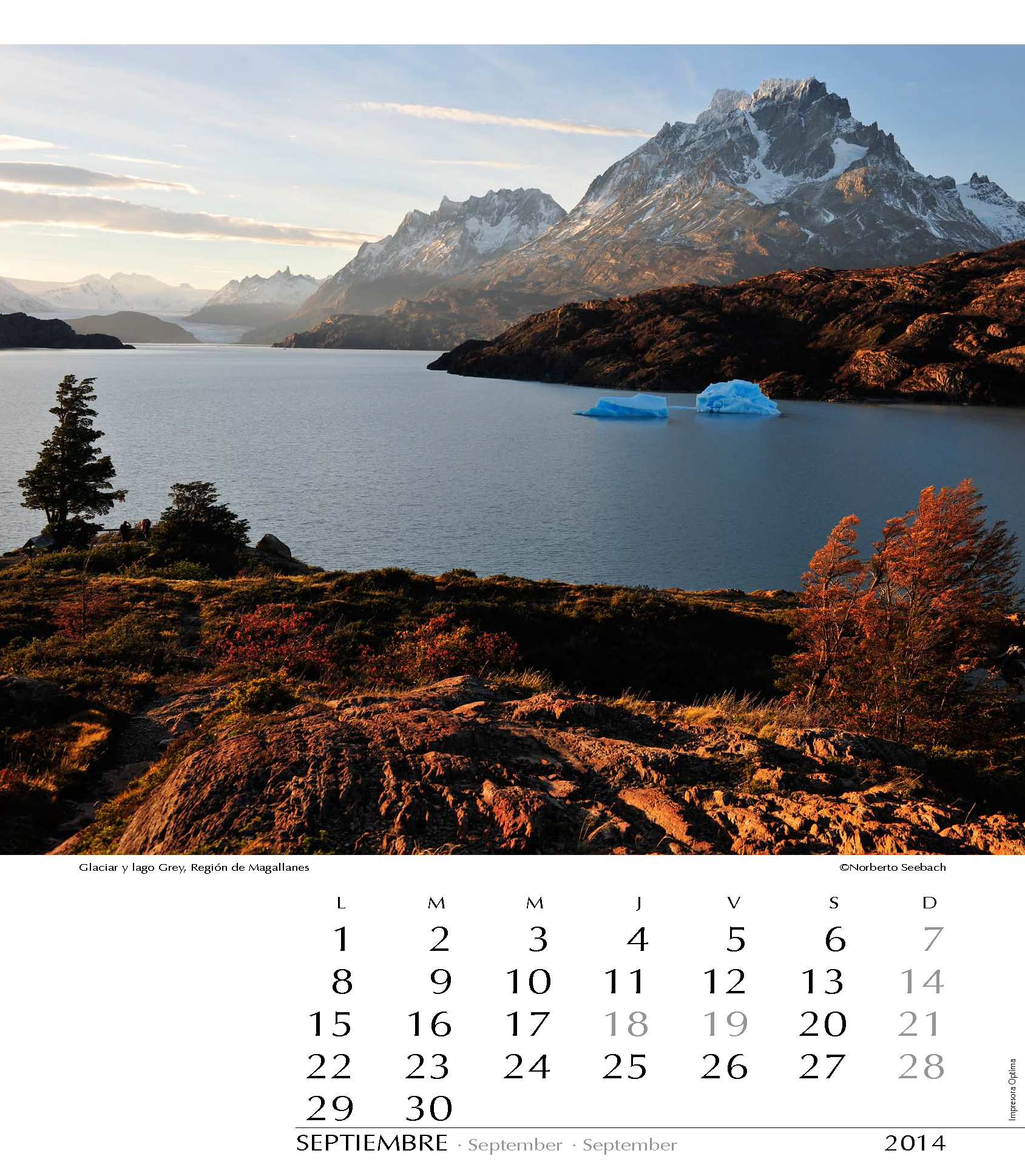 Glaciar y lago Grey