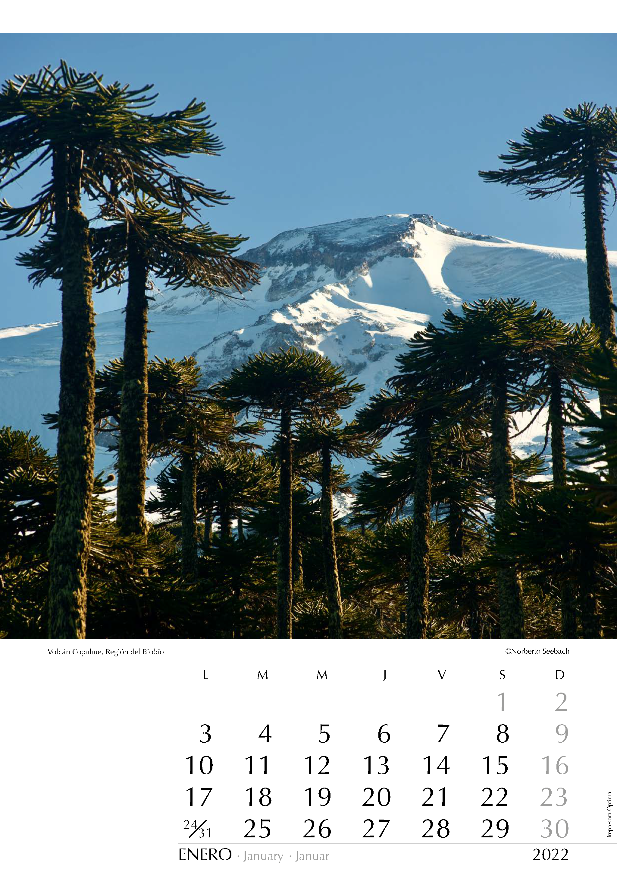 Volcán Copahue
