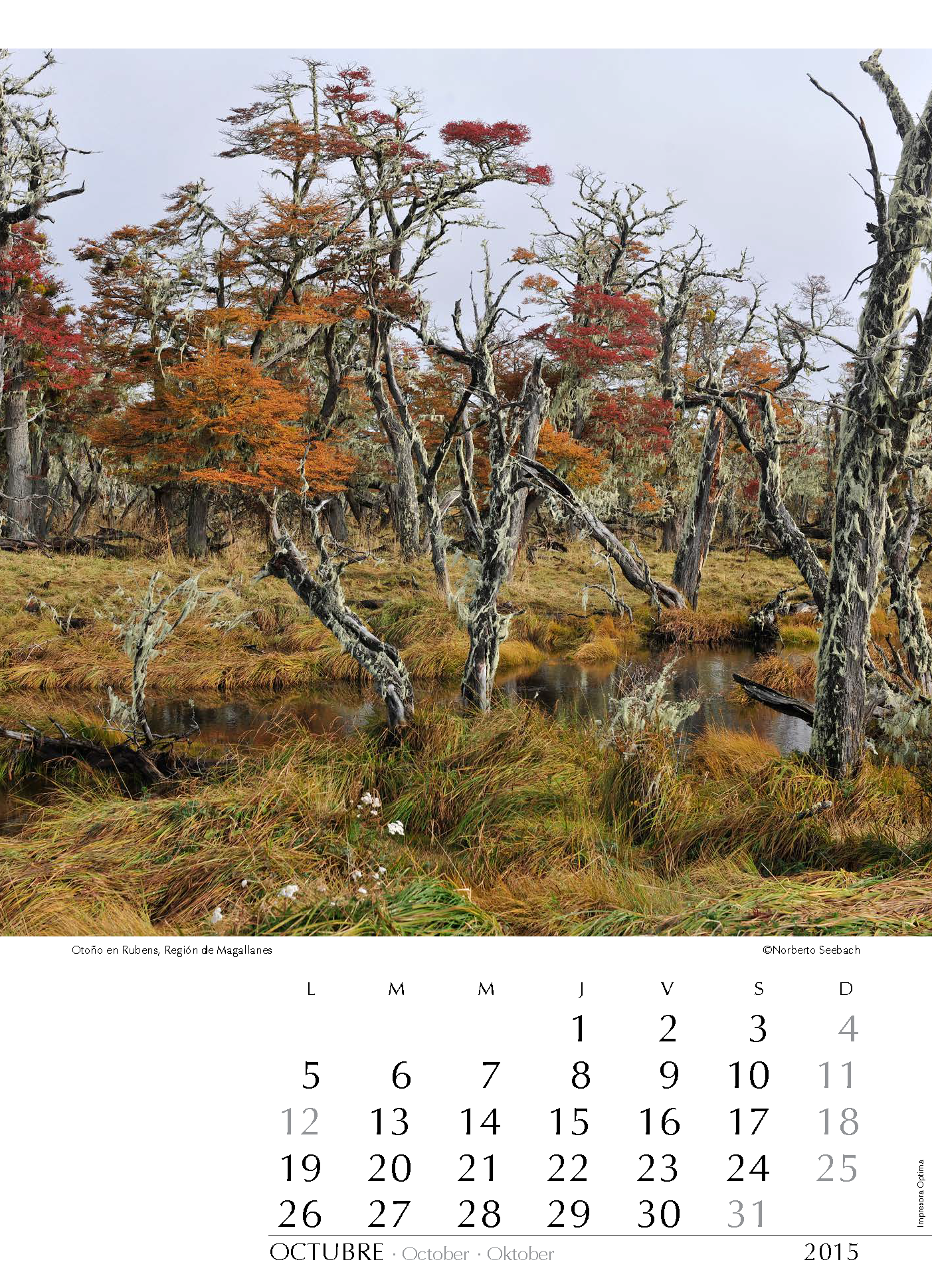 Otoño en Rubens