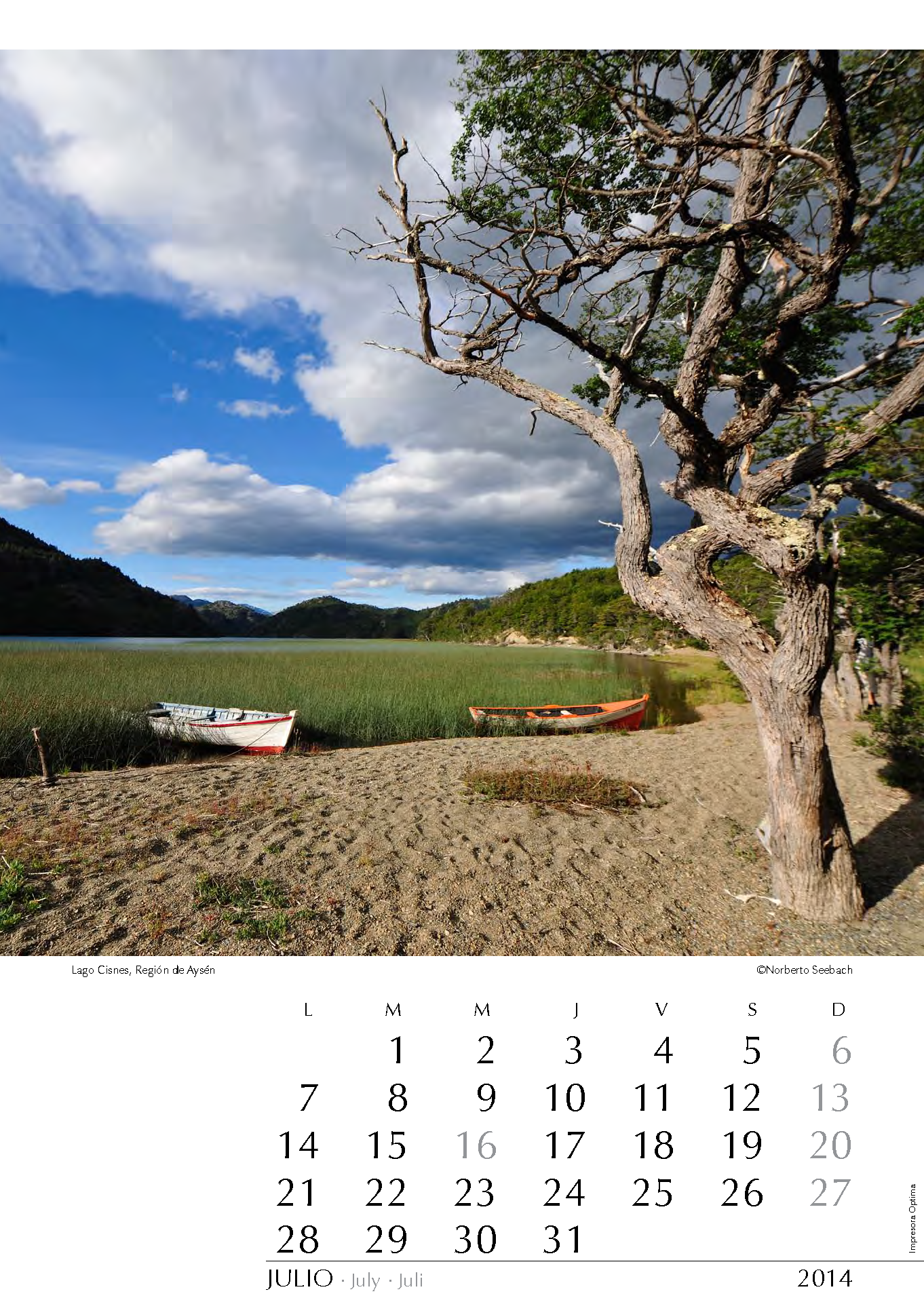 Lago Cisnes