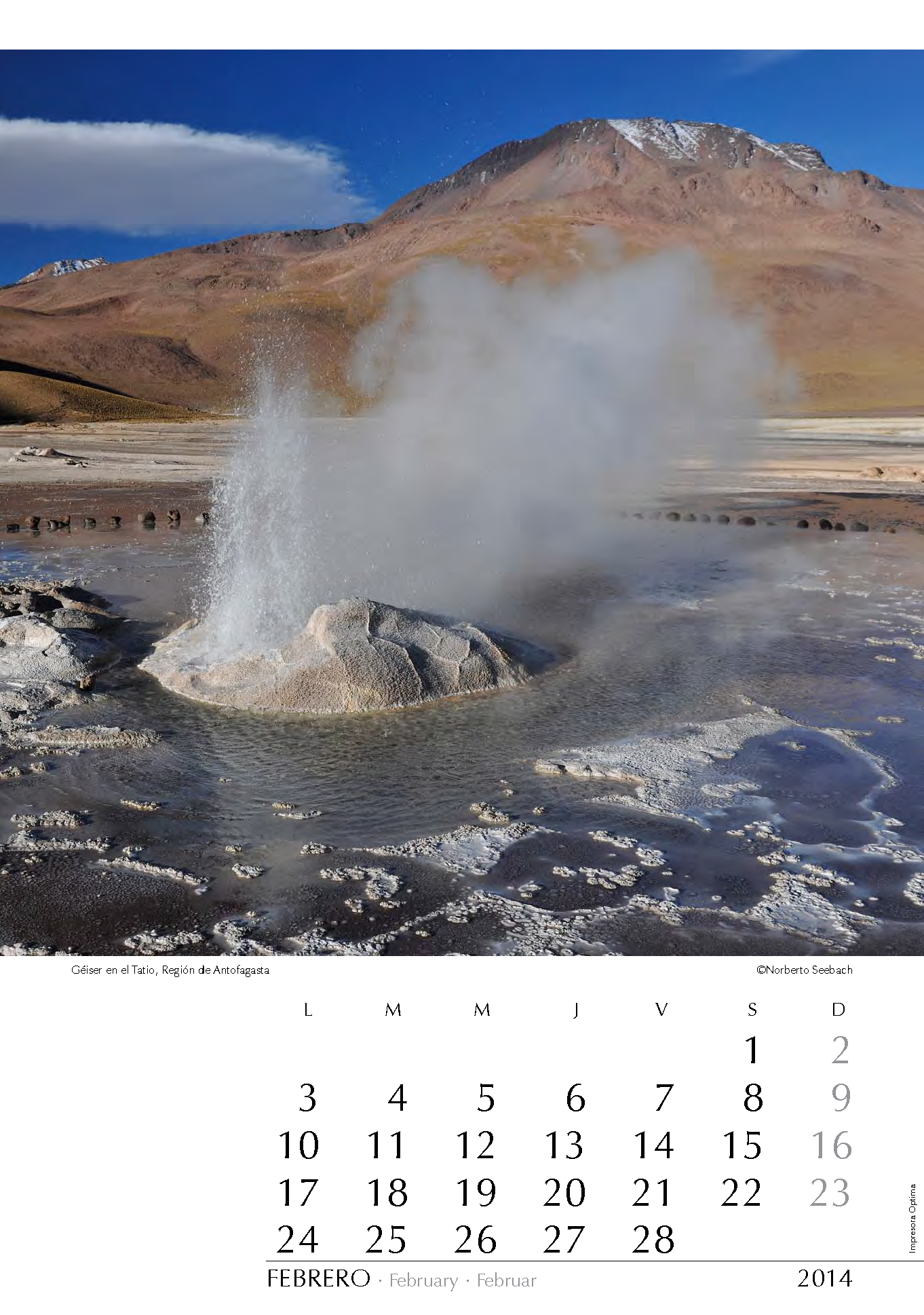 Géiser en el Tatio