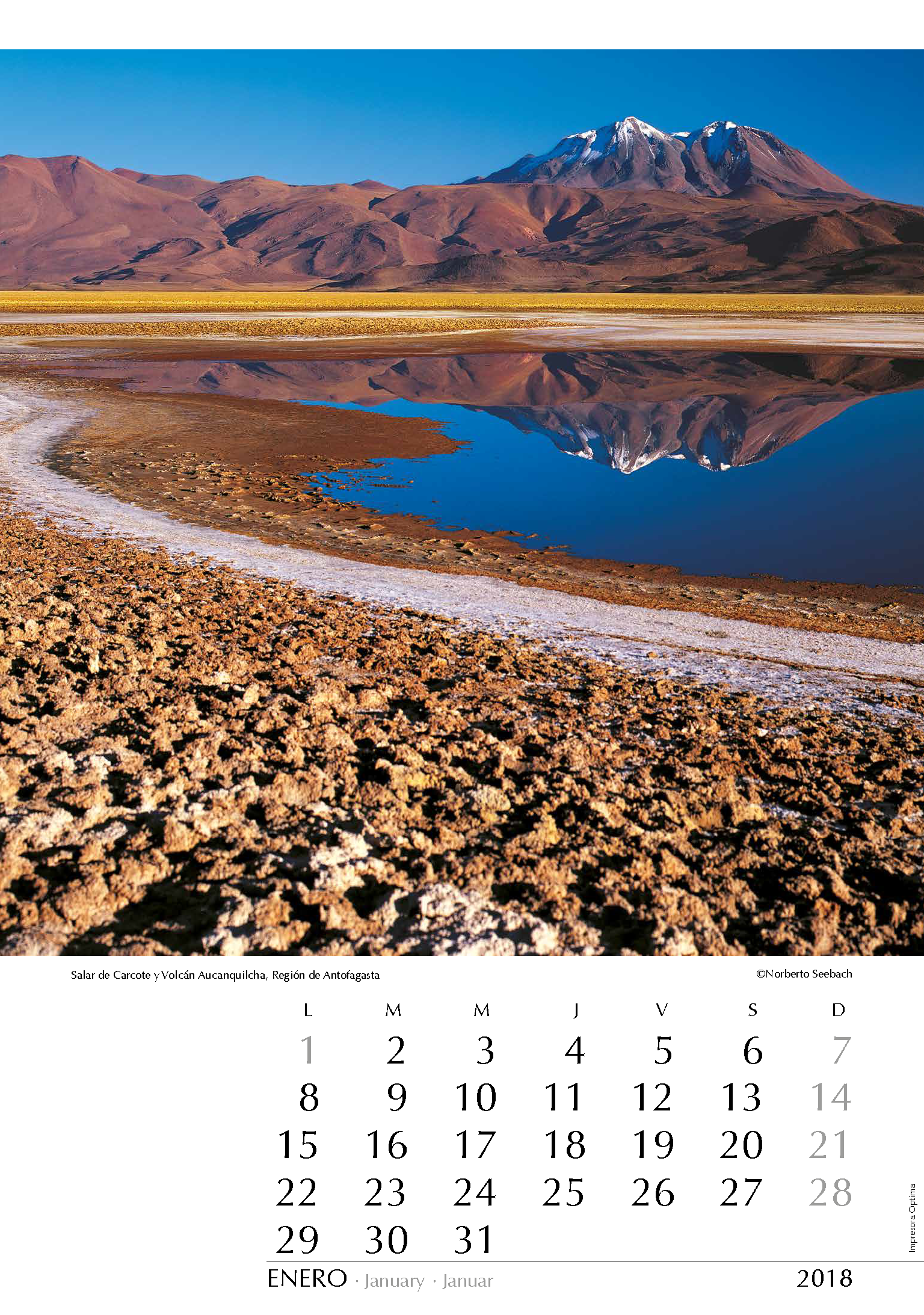 Salar de Carcote y Volcán Aucanquilcha