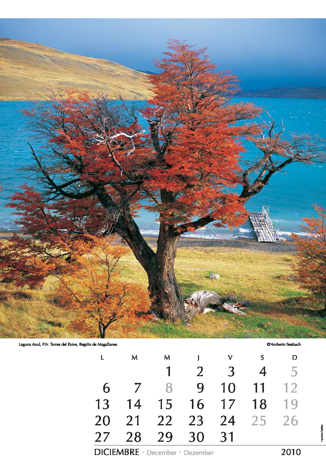 Laguna Azul, P.N. Torres del Paine