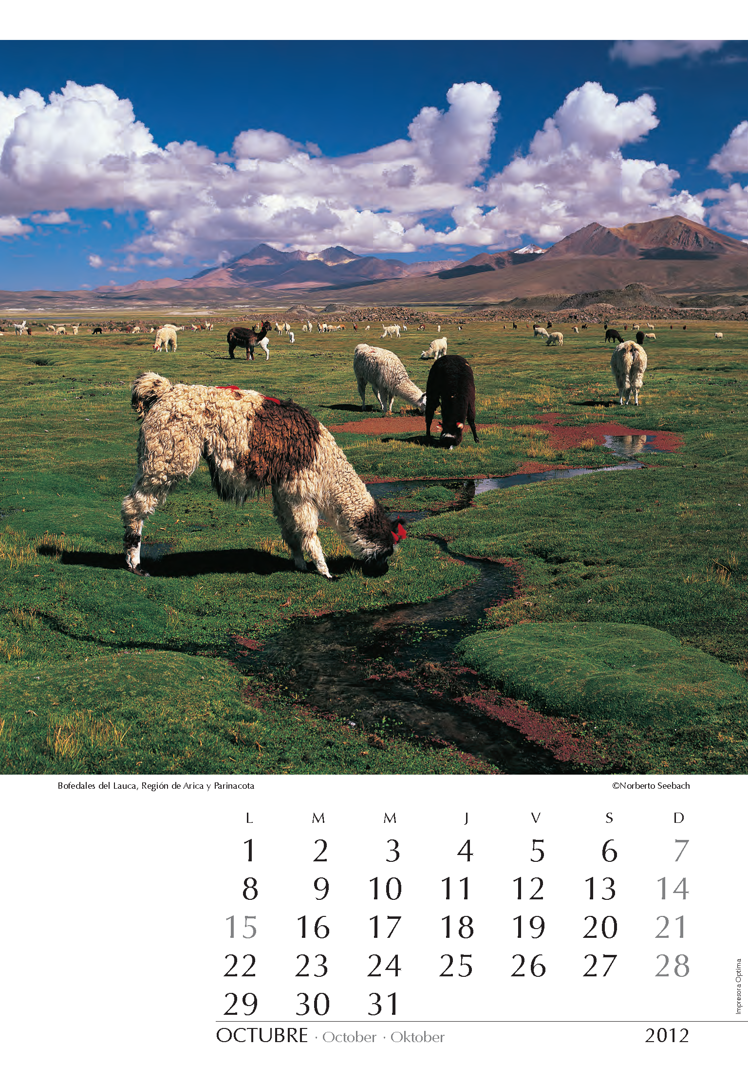 Bofedales del Lauca