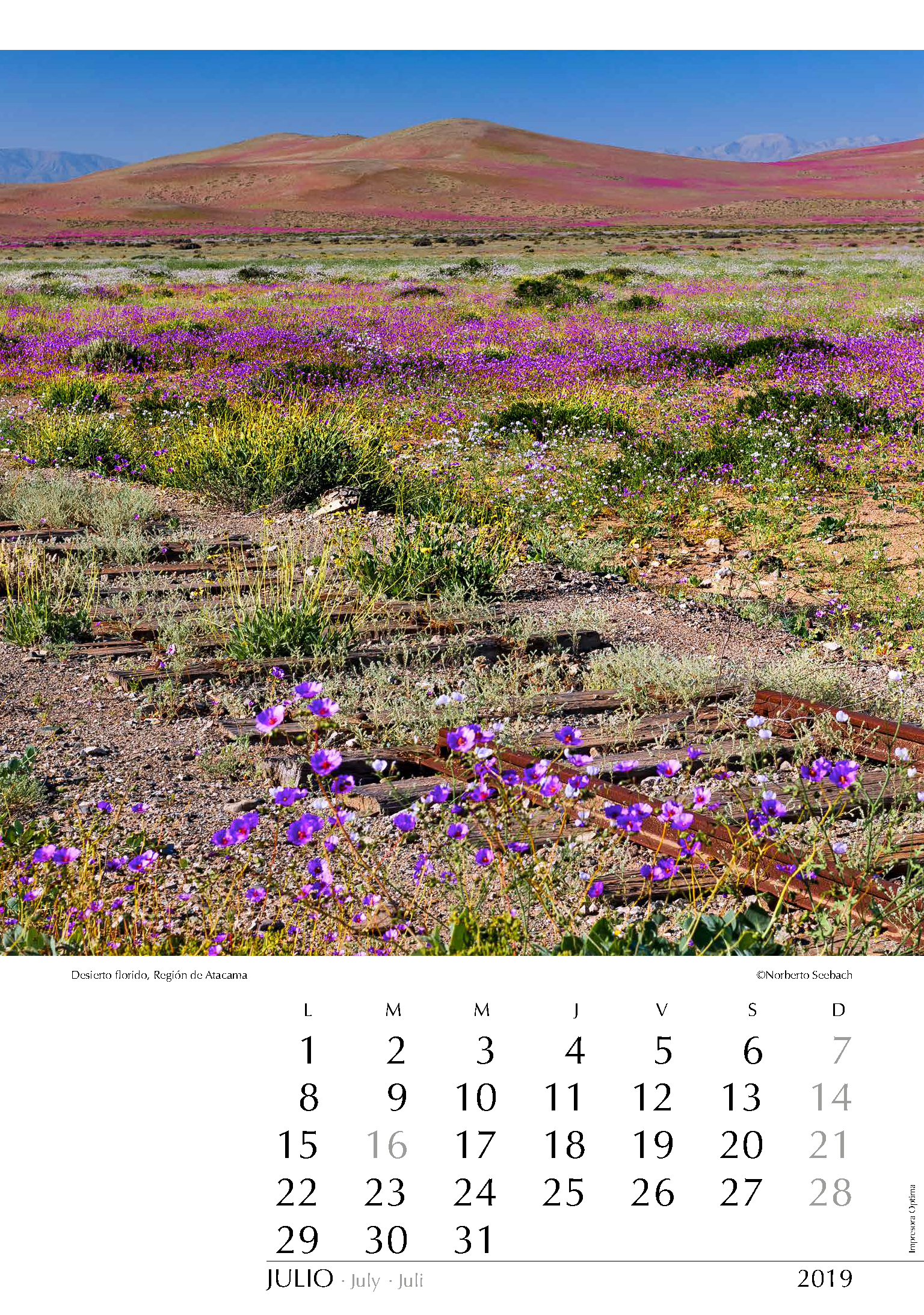 Desierto florido