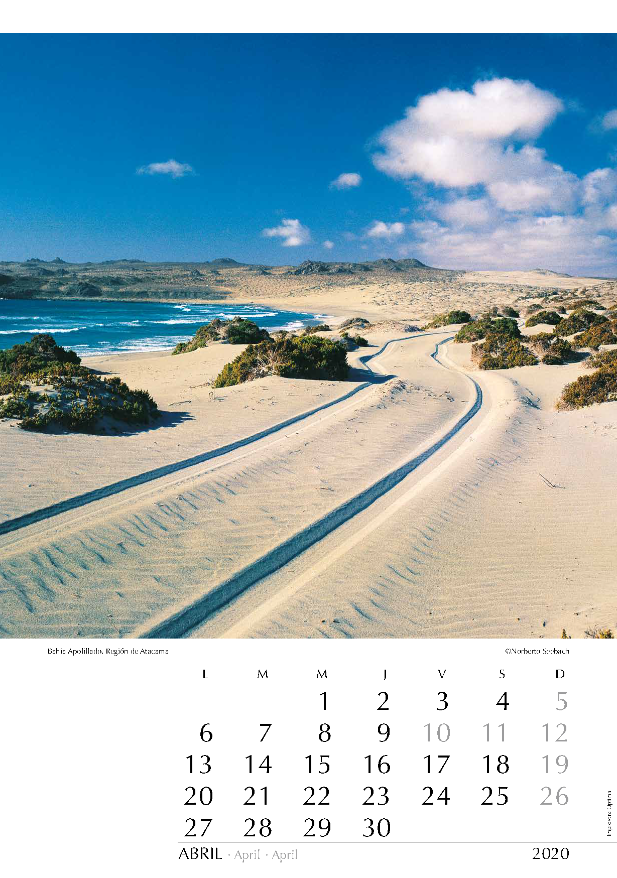 Bahía Apolillado
