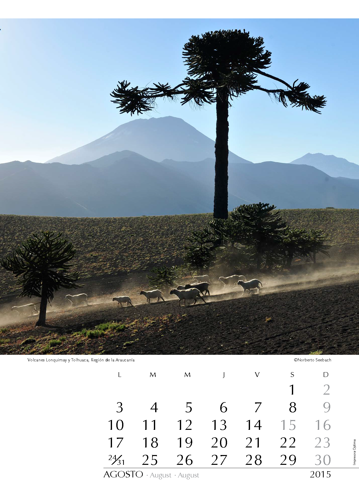 Volcanes Lonquimay y Tolhuaca