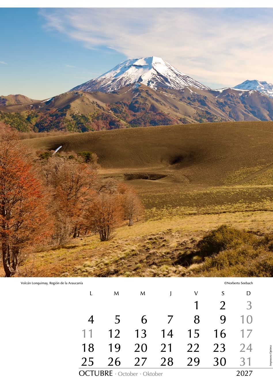 Volcán Lonquimay