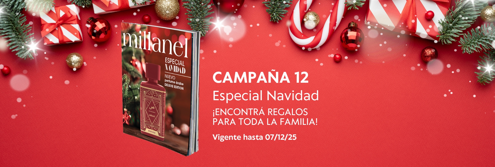 MiEmprendimientoMillanel