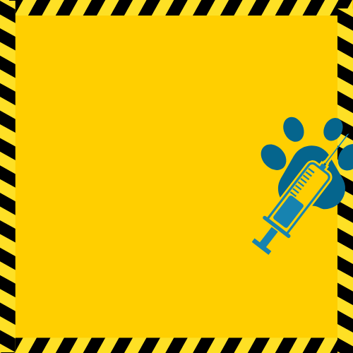 <span style="font-size: 32px; text-align: start;">¿Cuáles son los Residuos de Animales?</span>