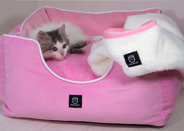 Cama gatito rosa en uso