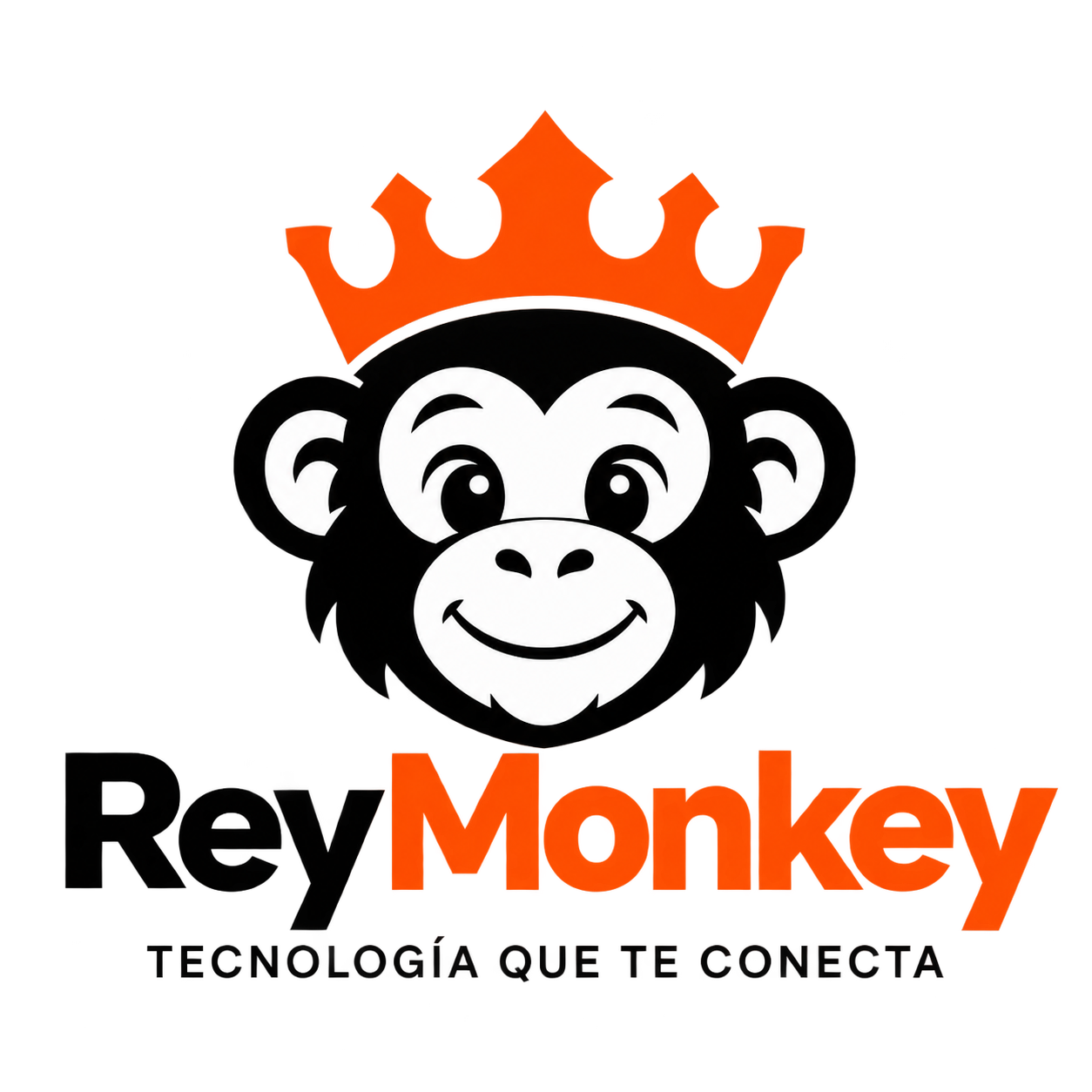 ReyMonkey | Tecnología que te conecta