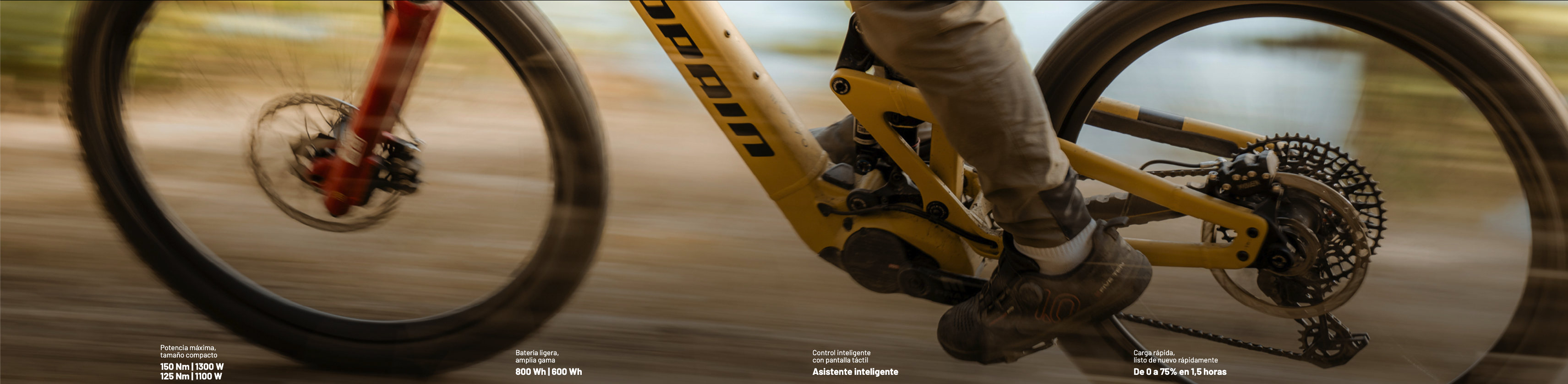 Título de la Sección