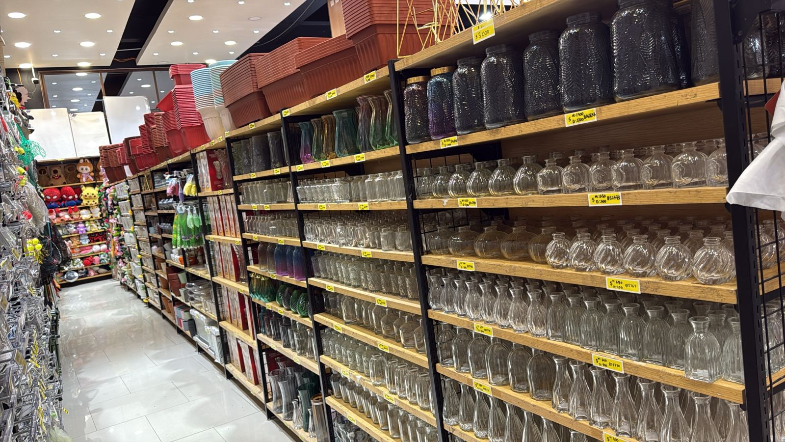 Descubre las novedades