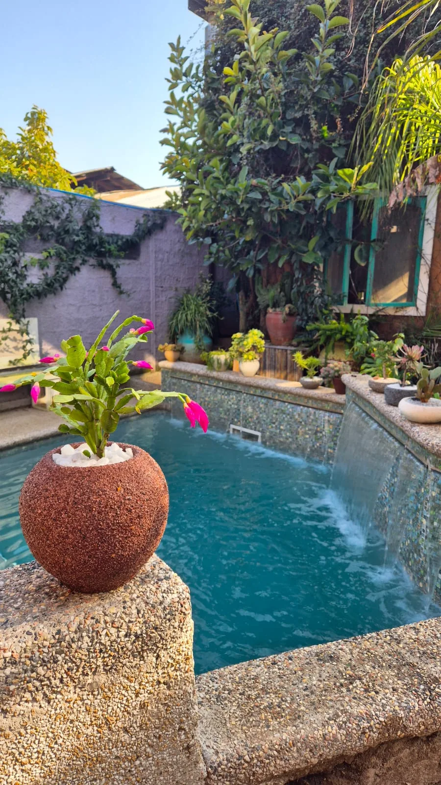 Macetero redondo de tono terracota con una planta junto a una piscina