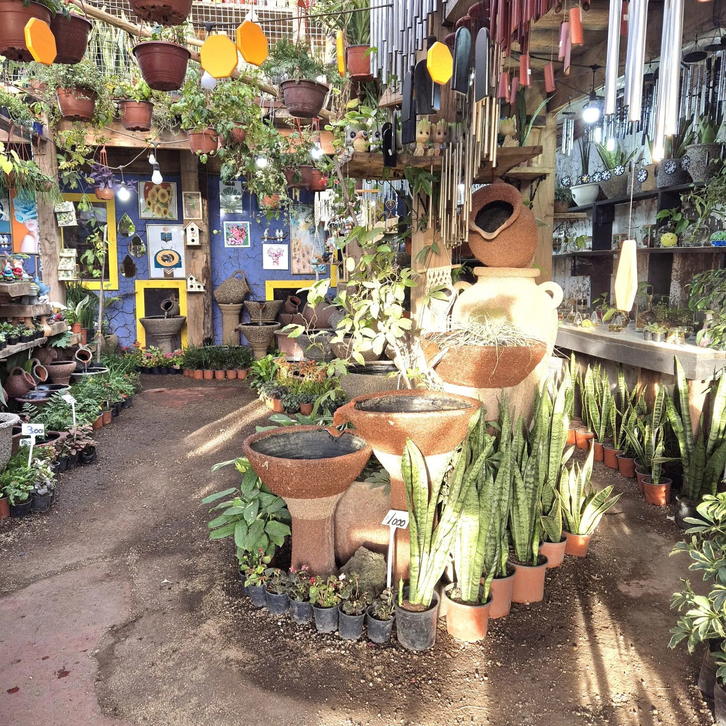 Fuentes artesanales, maceteros y plantas en el interior de nuestro negocio