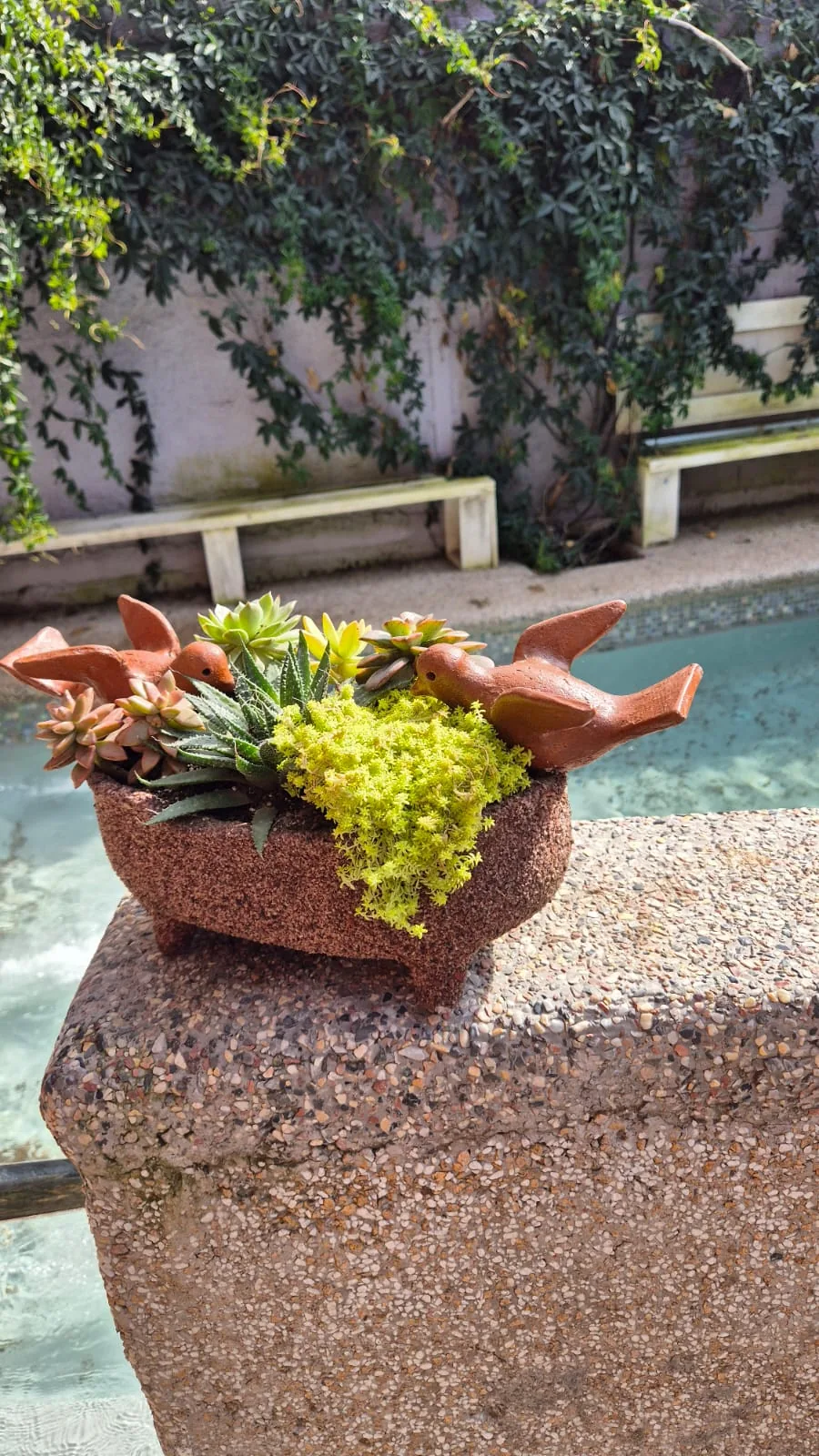 Cuenco artesanal con pájaros decorativos y suculentas