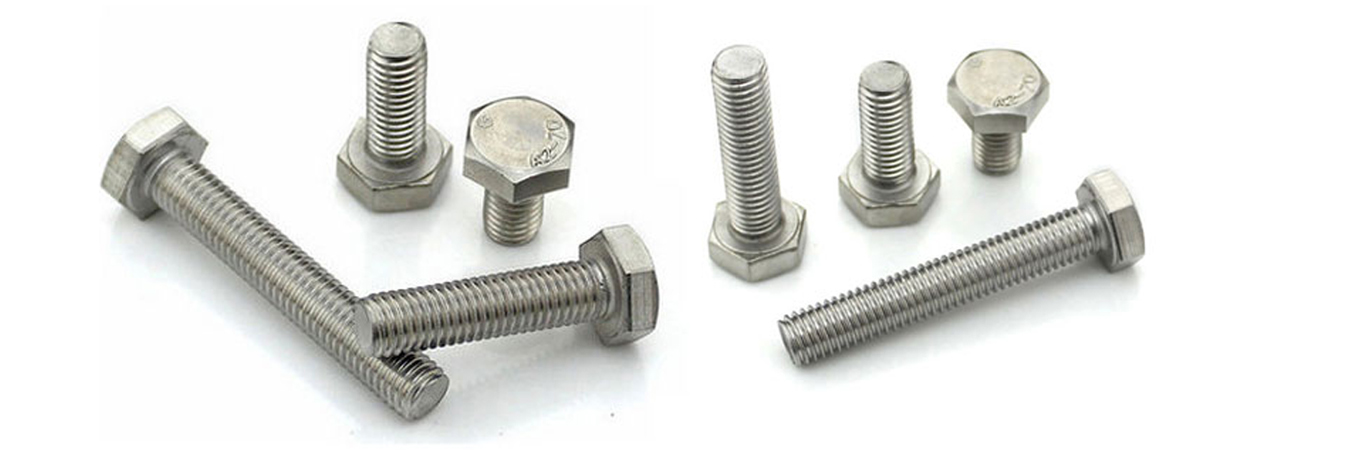 Bienvenido a nuestra tienda