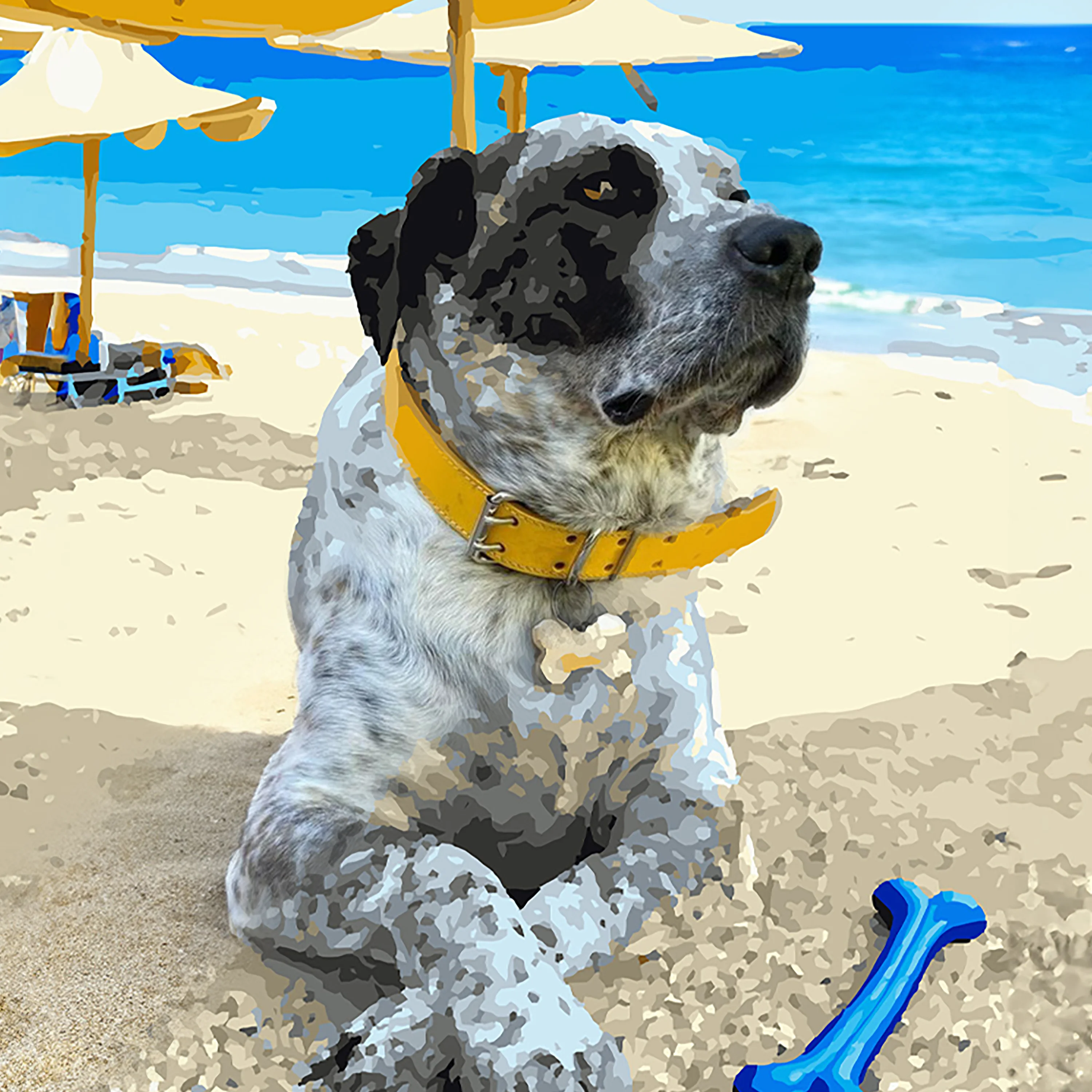 Previsualización Pintura Personalizada